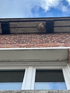 Élimination nid de frelons en façade - Destrucbusigny intervention Cambrai, Nord (59)